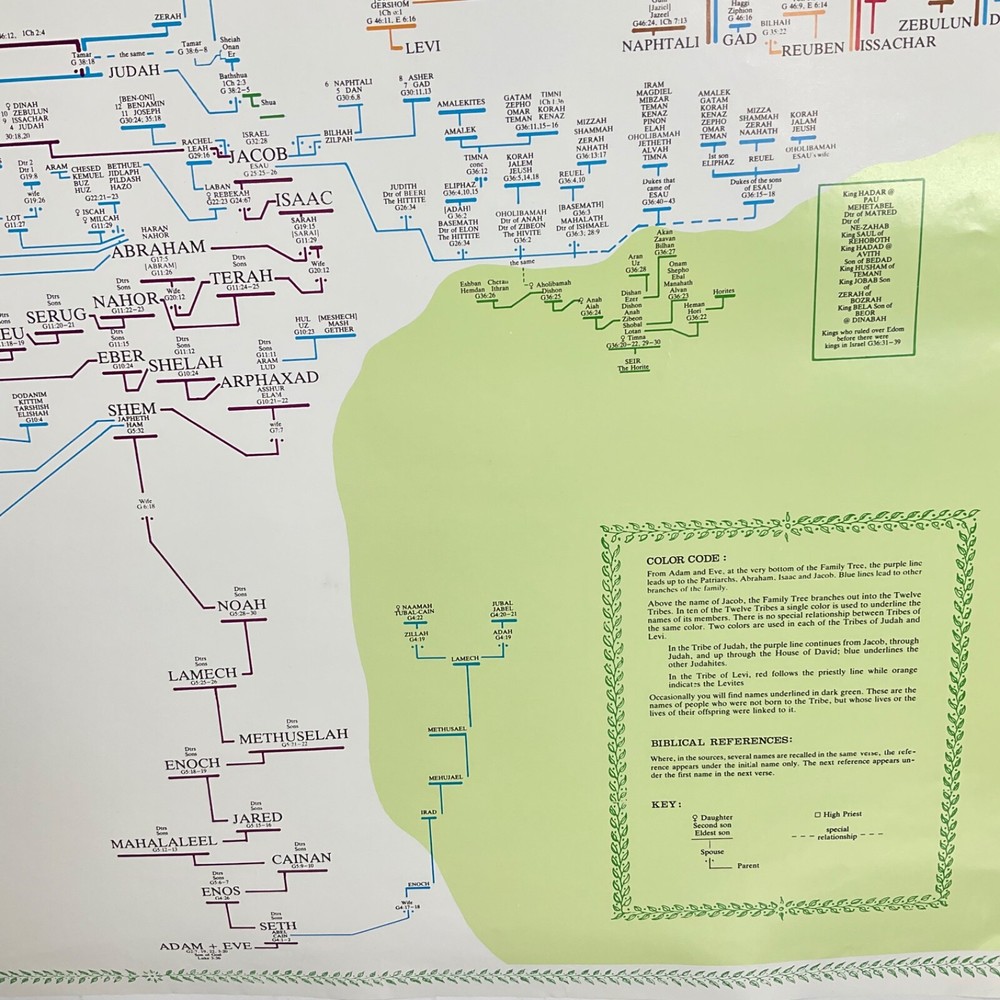 Poster Family Tree From Adam to Jesus lightly used