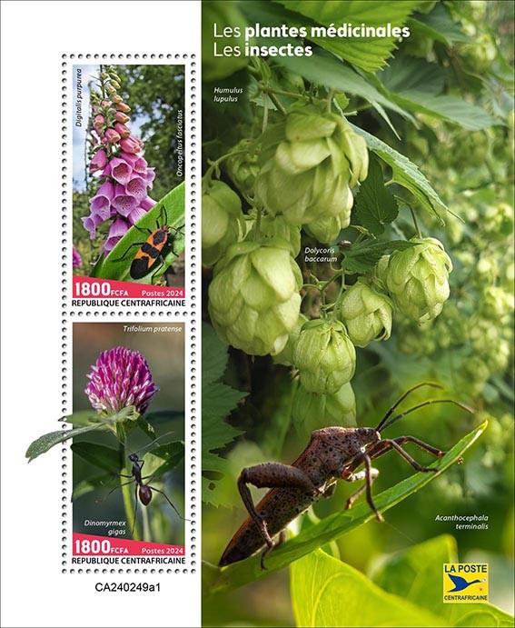 Medicinal Plants and Insects