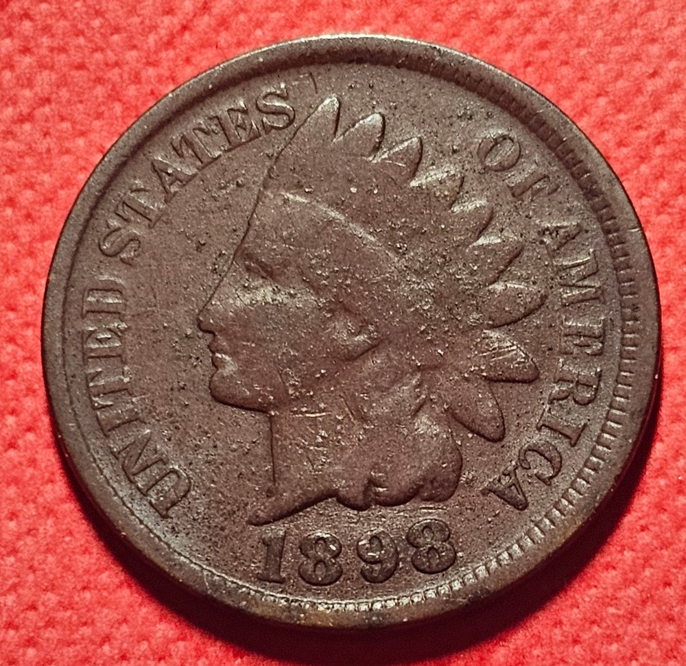 1898 Indian Head Cent (#D)
