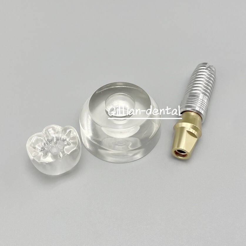 Dental Implant Model Detachable M2020 Demonstration Teeth Study Teach Models