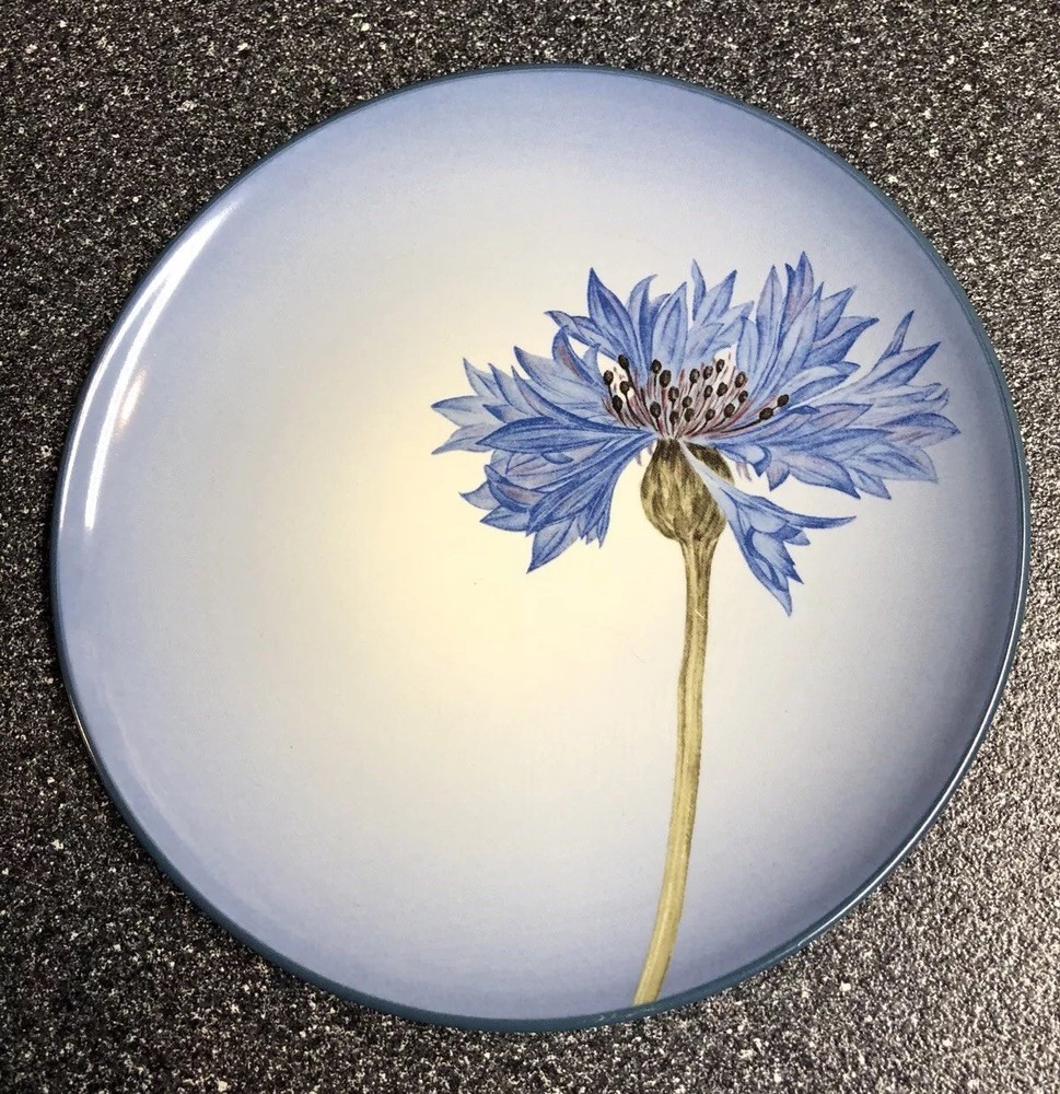 Noritake Colorwave Blue Floral Accent Plate ~new~