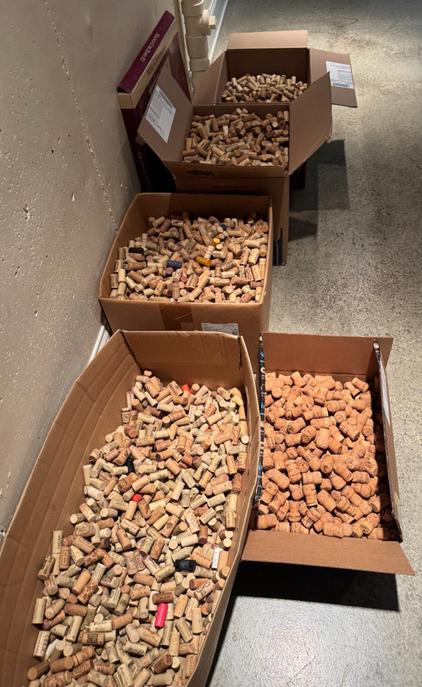 Used Champagne/Sparkling Wine Corks