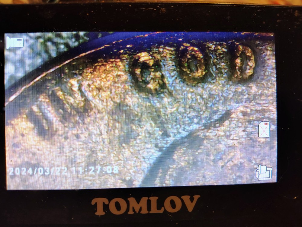 1948 D Wheat Sent Obverse And Reverse Debris Strike Error