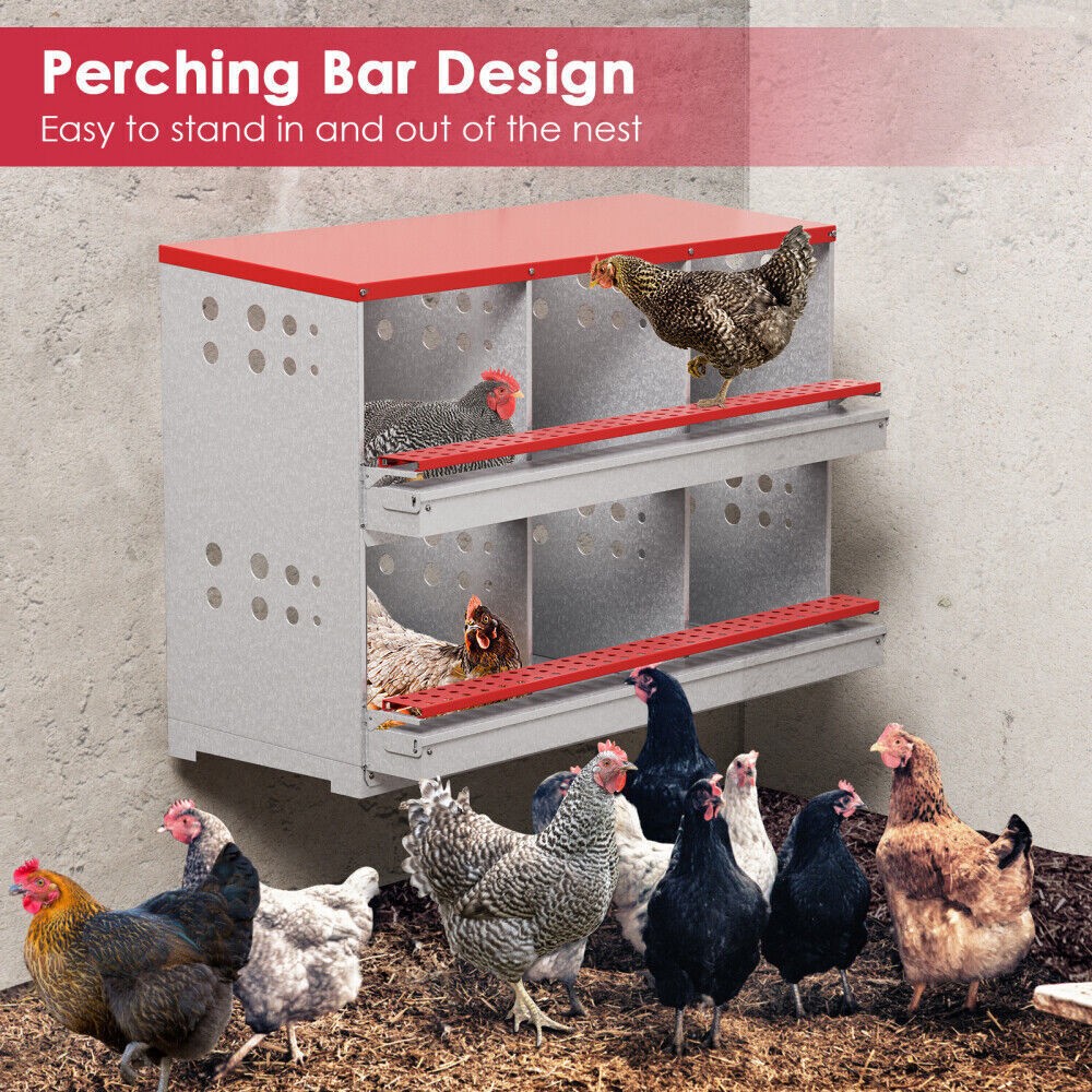 6 Hole Chicken Nesting Boxes Metal Egg Laying Brooding Box With Vent Hole Set