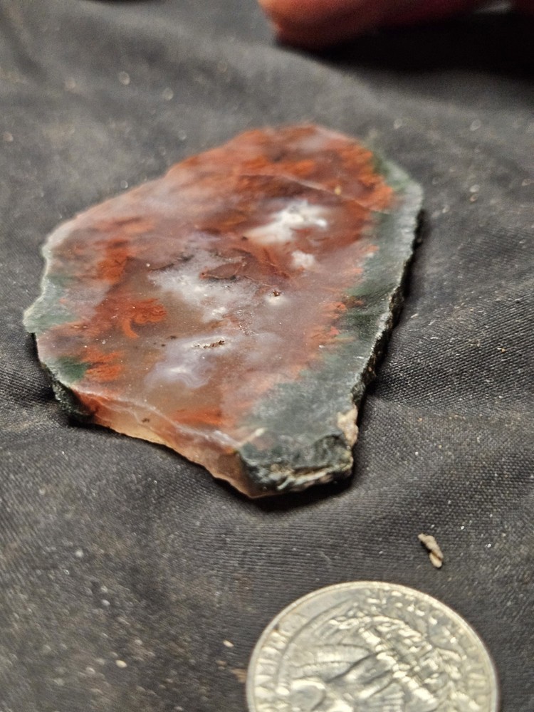 Plume Agate Multicolored Slab Specimen (1.76oz)