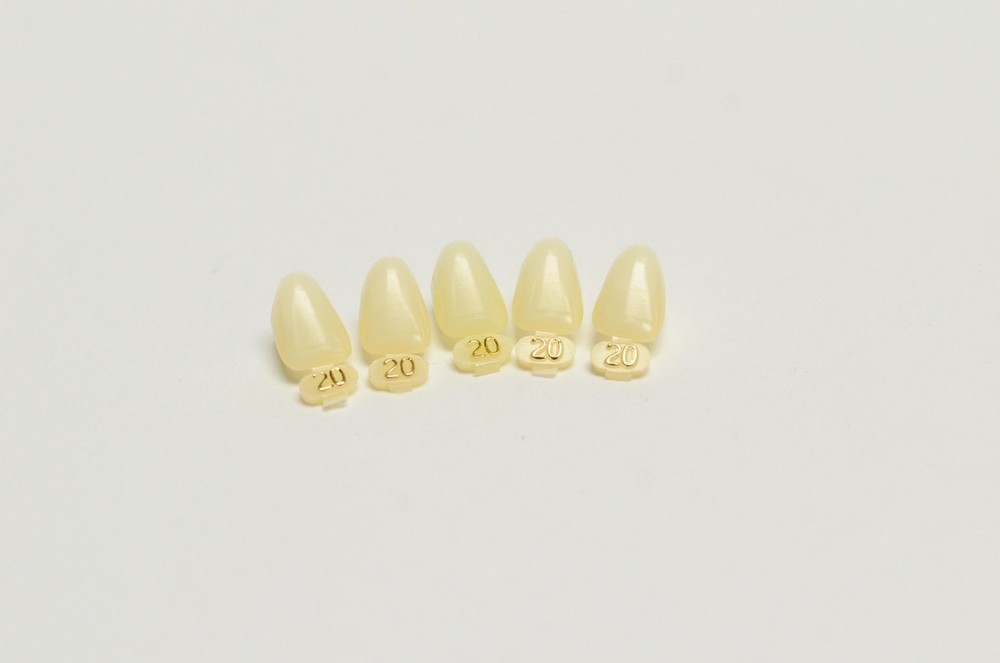 DENTAL POLYCARBONATE TEMPORARY CROWNS #20 (URL) UPPER RIGHT LATERAL 5/PACK