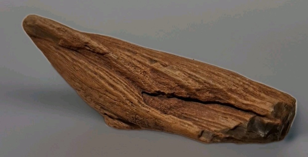 Petrified Driftwood 130g