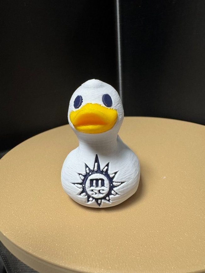 MSC Cruise Duck - 2 inch
