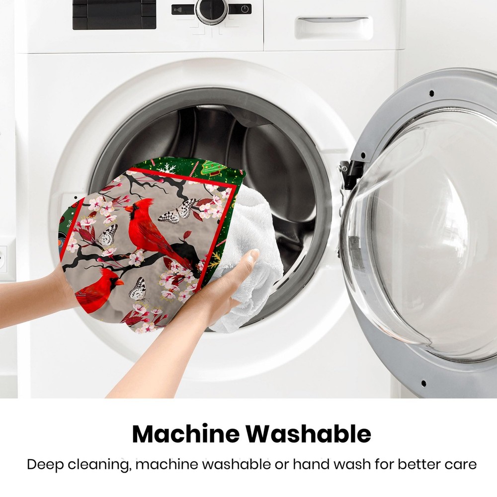 Cardinal Lightweight Microfiber Plush Throw Blanket Air Conditioner for Couch...