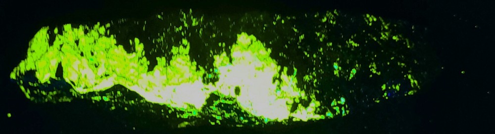 Big Shortwave SW UV Fluorescent Solid Esperite & Willemite Franklin NJ Minerals
