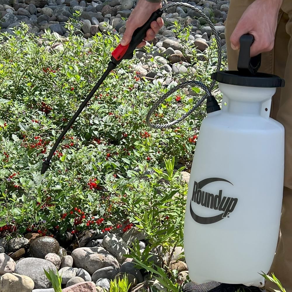 Manual 2-Gallon Sprayer Featuring Lockable Shut-off and Pressure Release Cap