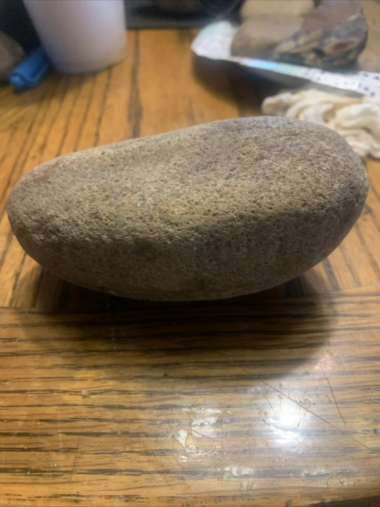 Fossils