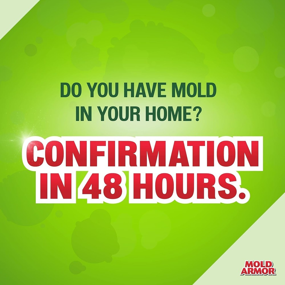 Do It Yourself Mold Kit