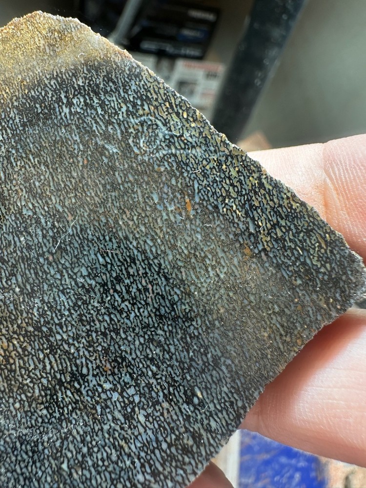 Dinosaur bone rough **hxtled slab.