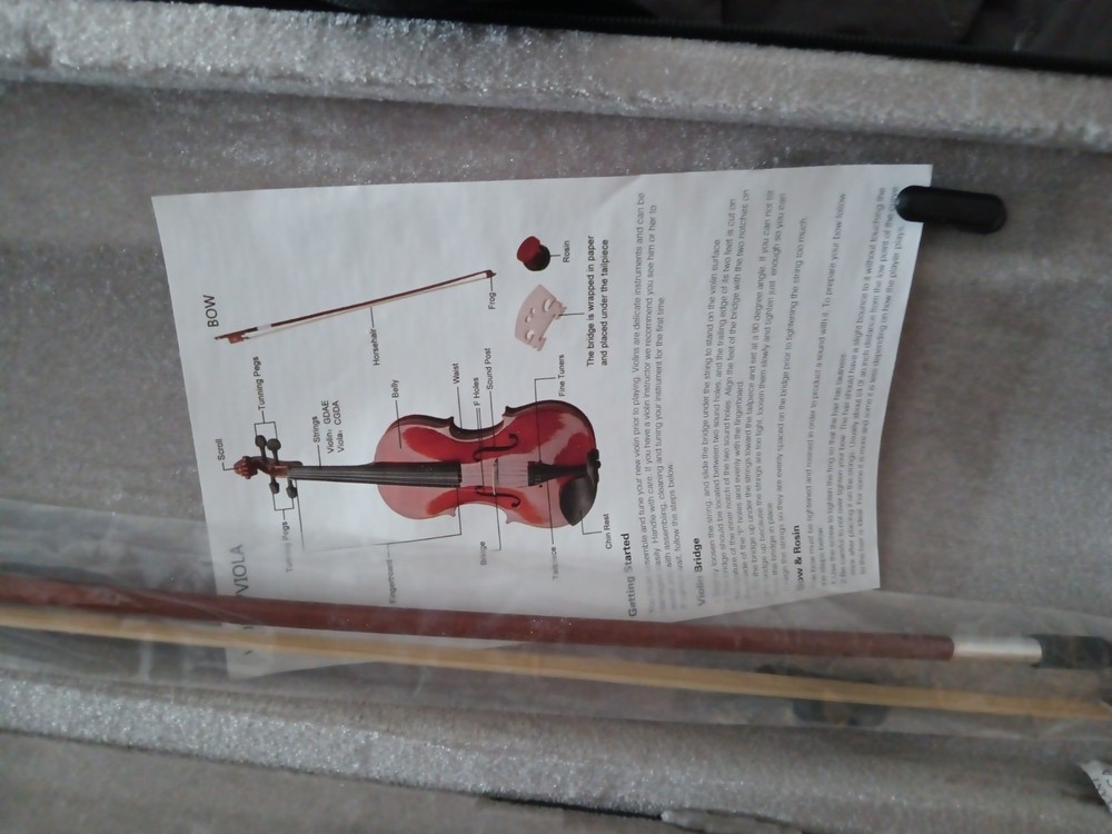 violin