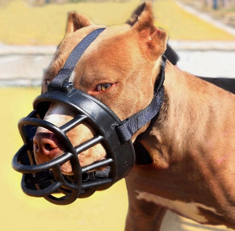 Strong Basket Adjustable Dog Muzzle Silicone Breathable Lightweight & Durable