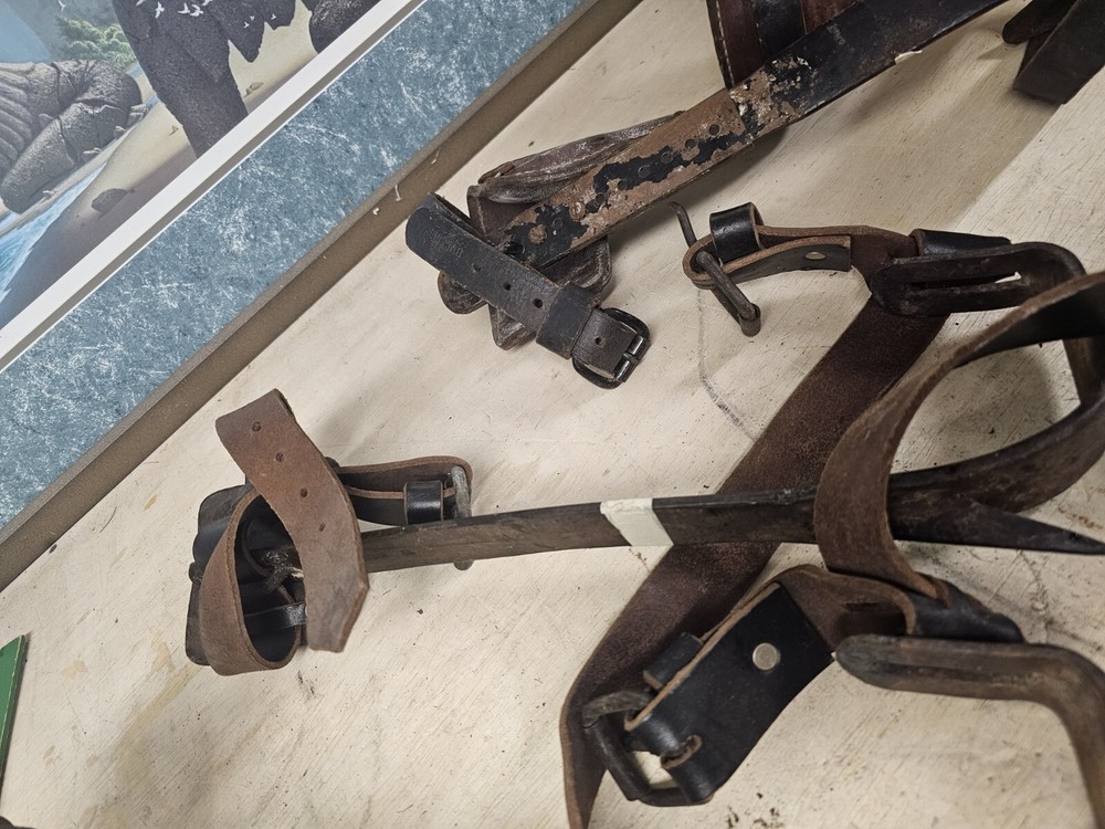 Vintage Bell System Set Buckingham Lineman Pole Climbing Spikes