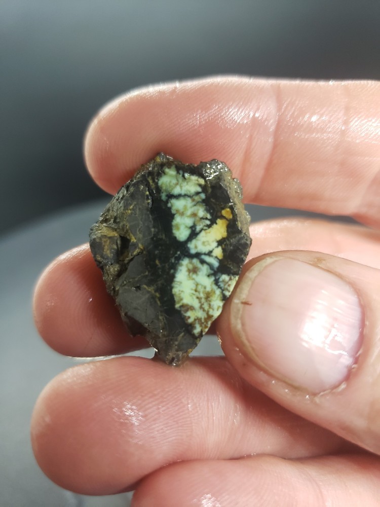 Saguaro Variscite Slab