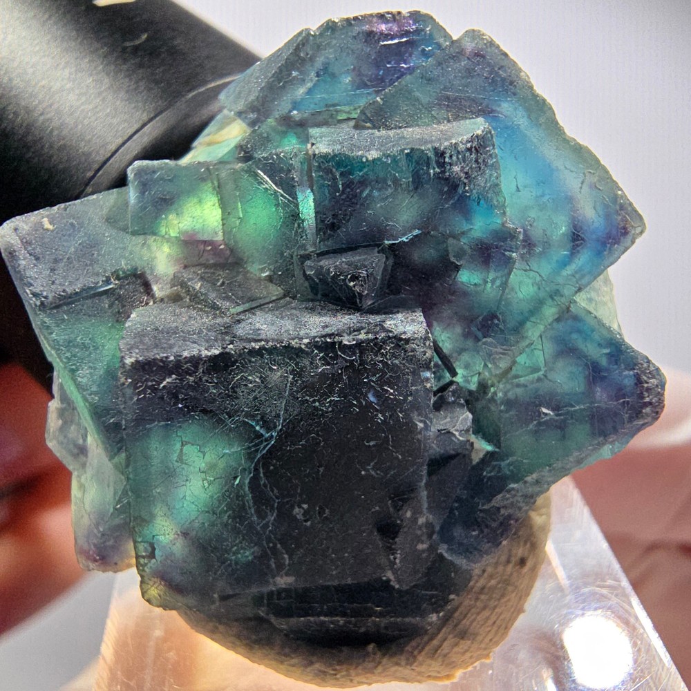 Phantom Fluorite Cube Specimen, Blue Butterfly Pocket, Okorusu, Namibia