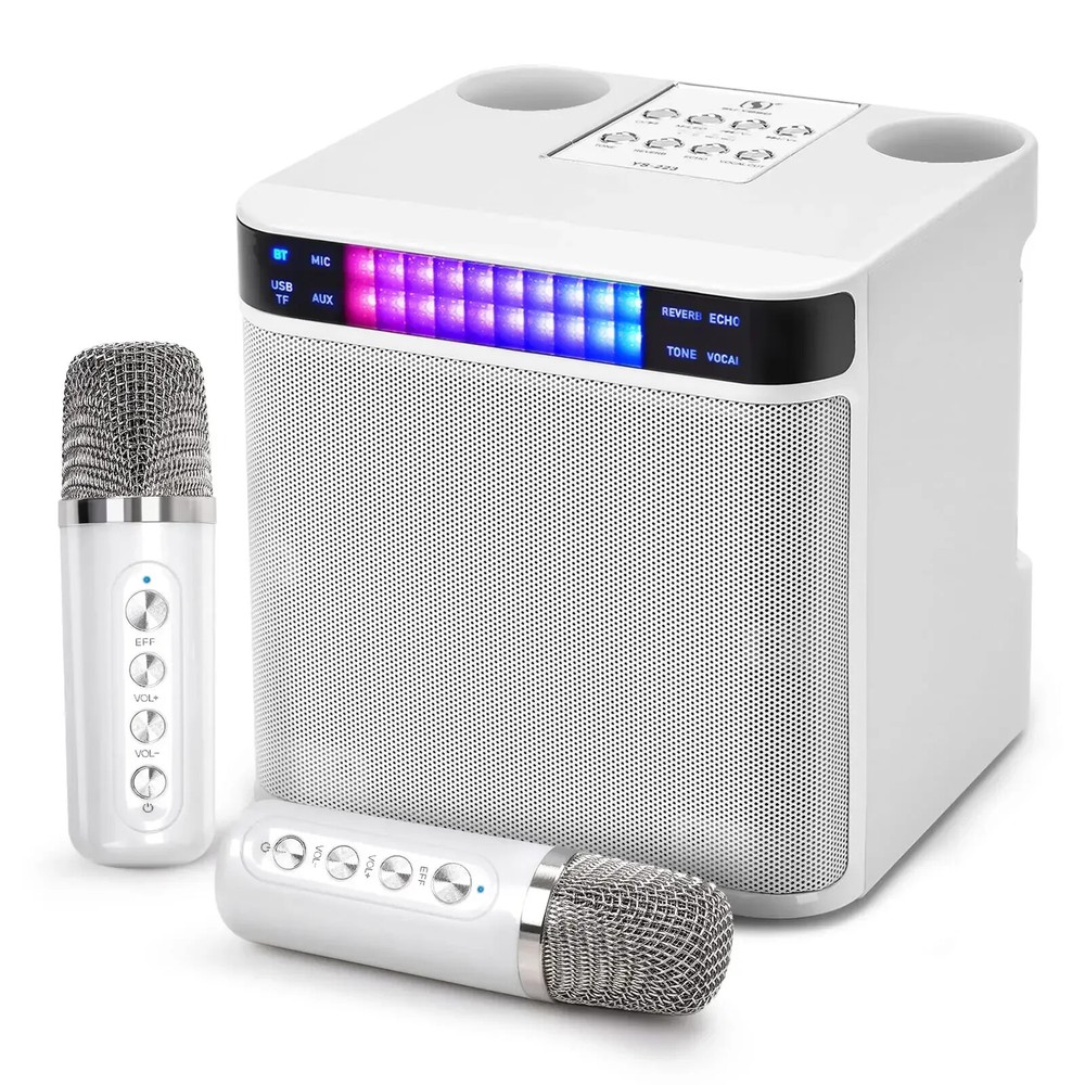 Portable Karaoke Machine with 2 Wireless Microphone Bluetooth Speaker System