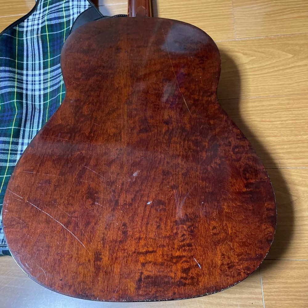 Hashimoto Gut Guitar No232