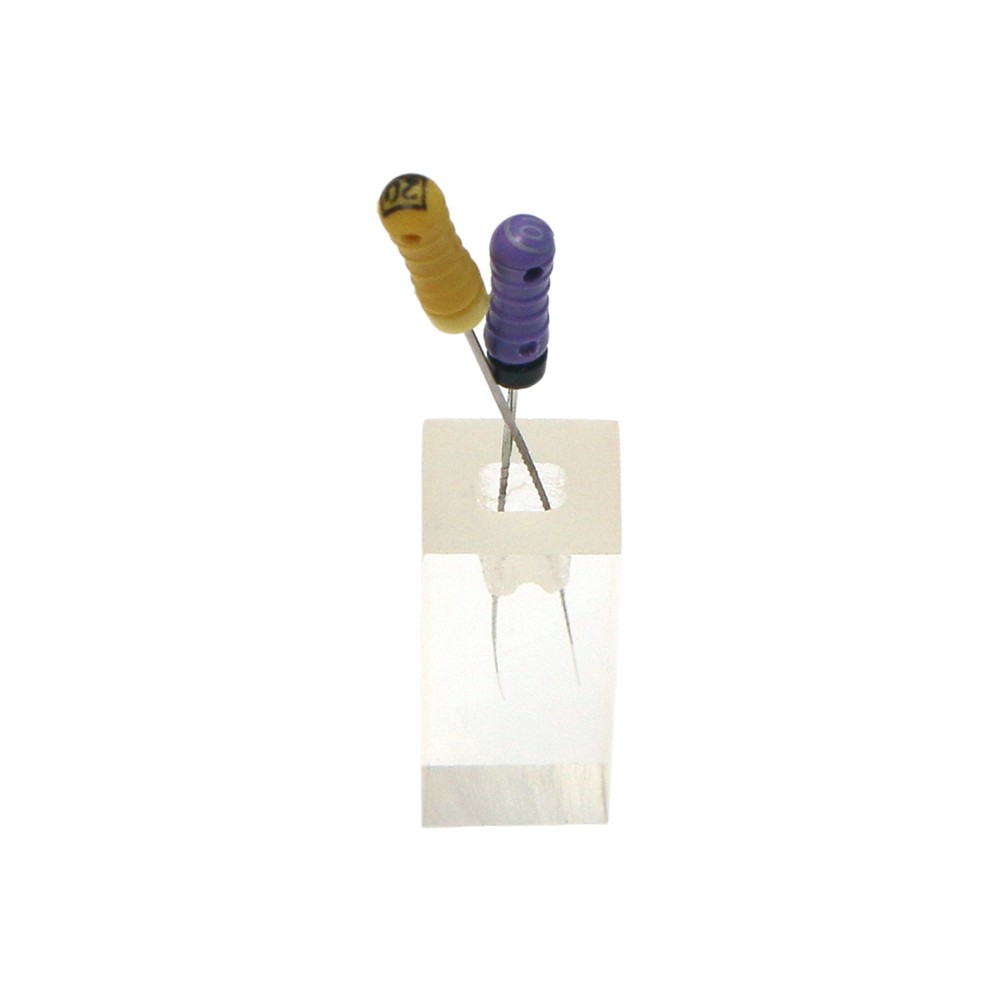 10* Dental Tooth Root Canal Study Practice Model Endo Training Block Clear
