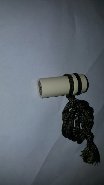 Ady Squirrel call Gen 1