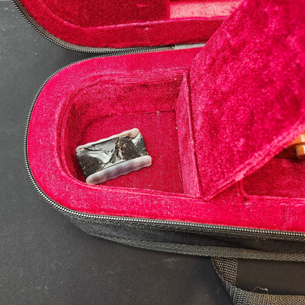 Student Violin w/ Case Bow Rosin String Cheek Rest 4/4 Size