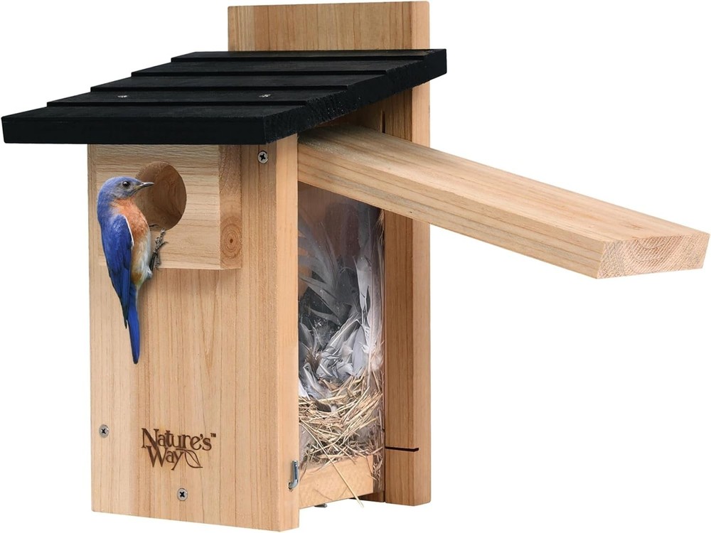 Cedar Bluebird House with Viewing Window & Predator Guard - 12" Tall