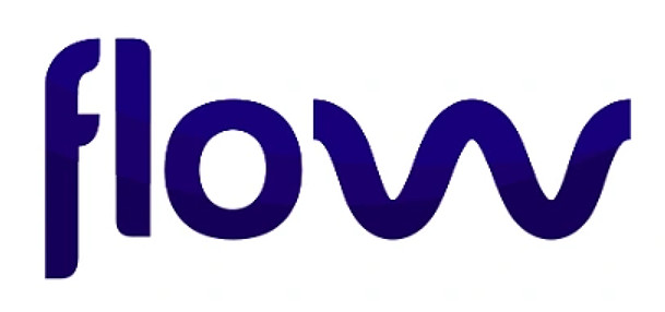 Flow.info - premium domain name