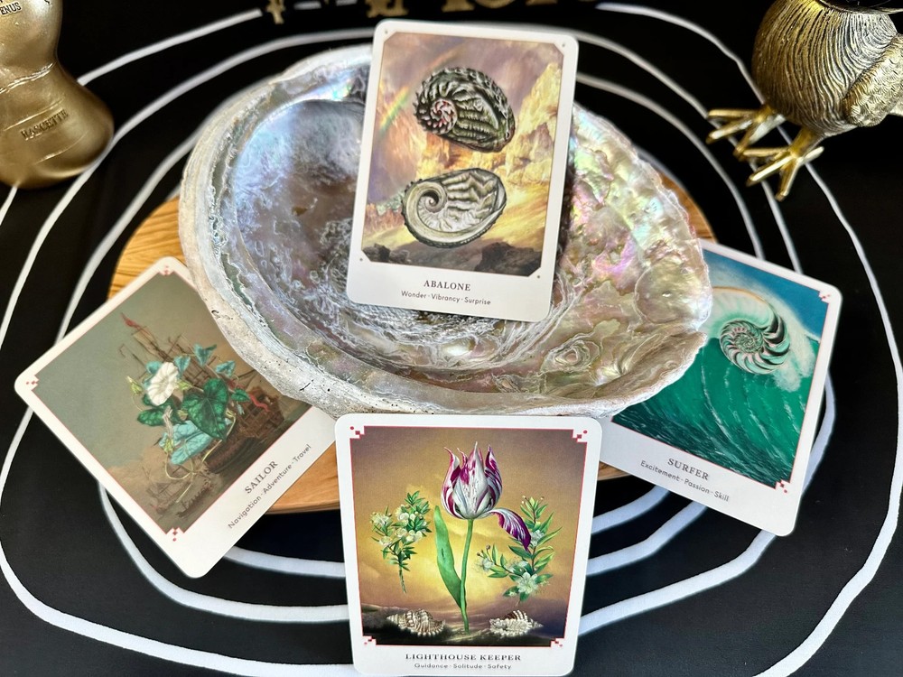 The Seashell Oracle Deck 44 Card Deck for Divination by Broccoli