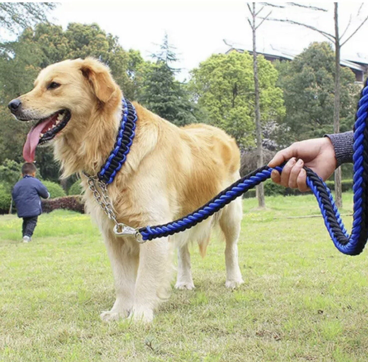 Collar and Leash Set  For  Dog