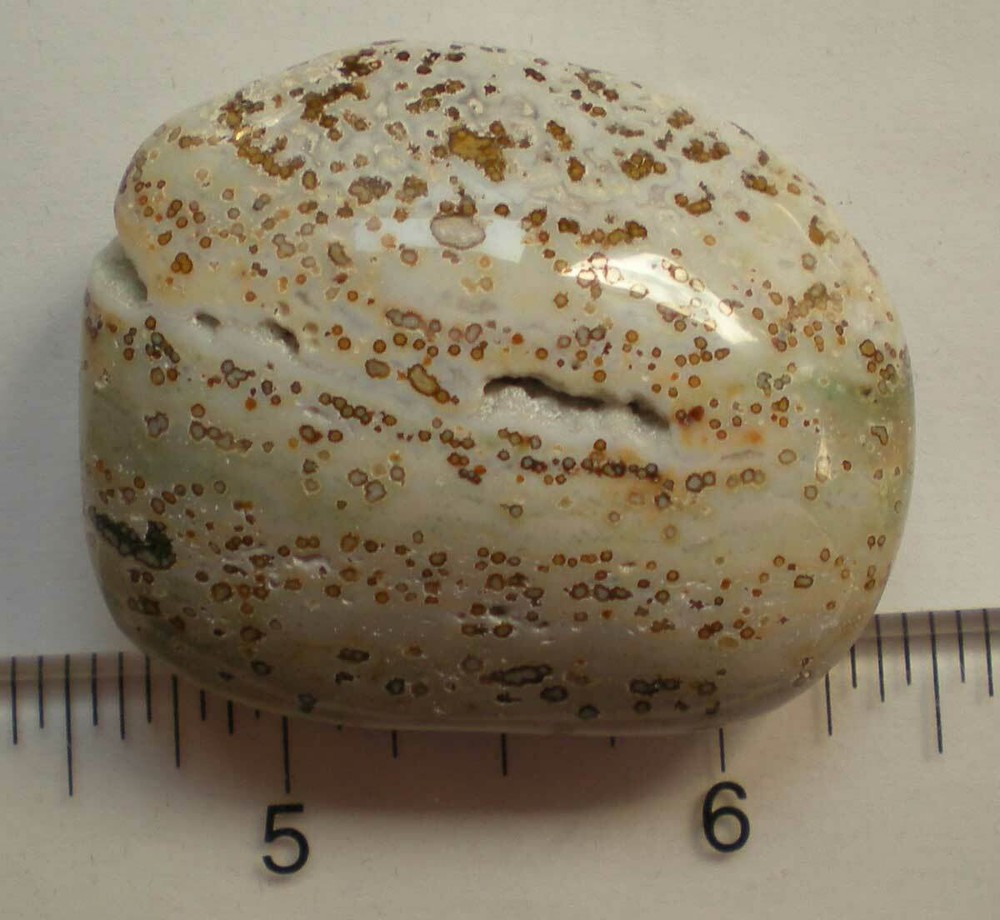 Ocean Jasper Palm Stone sc687l