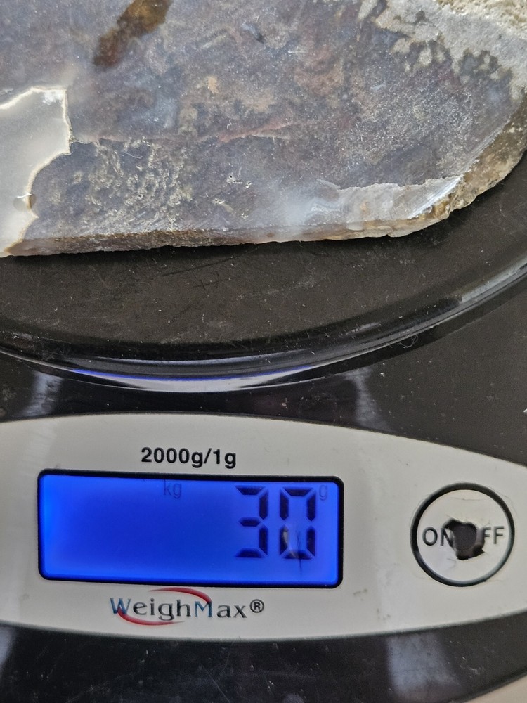Agate Lapidary Slab With Moss