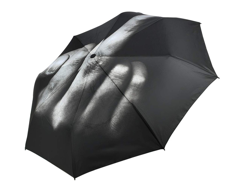 DS. DISTINCTIVE STYLE Middle Finger Umbrella Funny Folding Creative