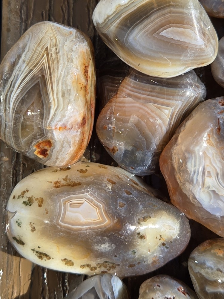 Botswana Agate Selects - GREATEST - Rough, Natural, Not Polished A+ Grade