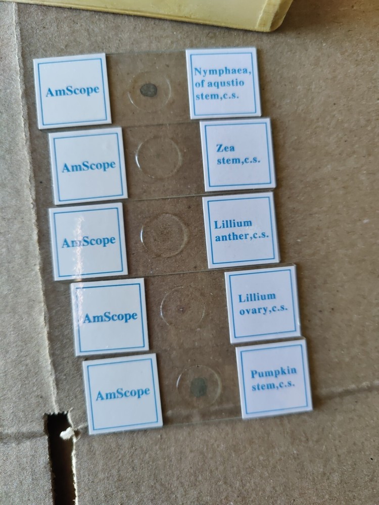 AmScope PS25W Prepared Slides