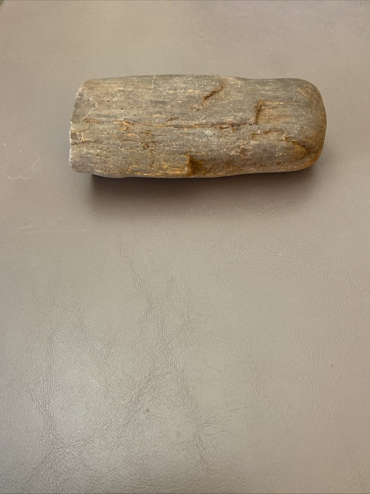 Petrified Wood