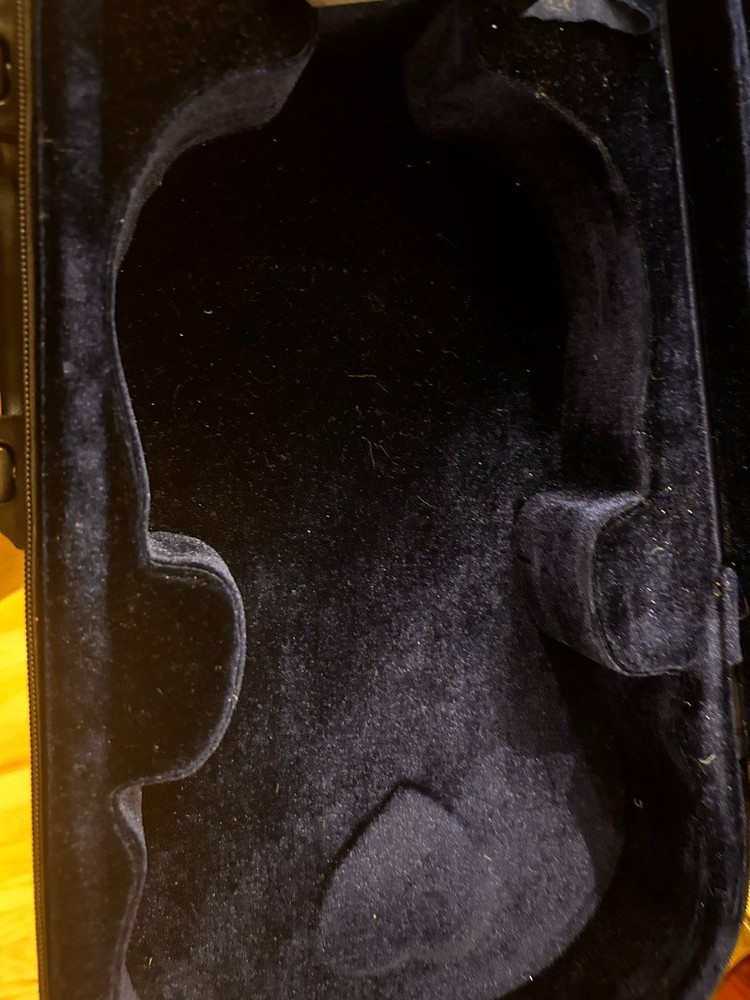 Maestro violin with two bows