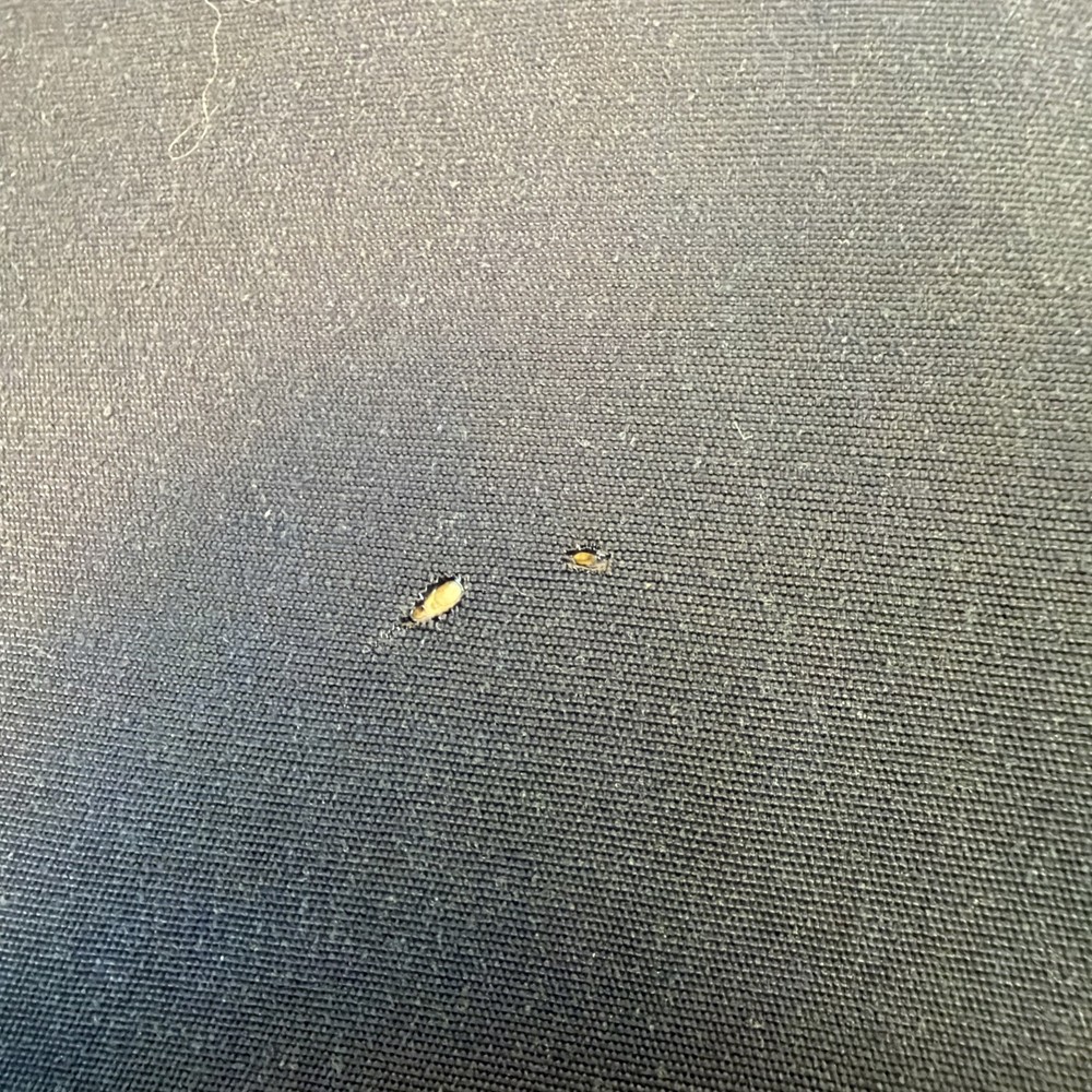 Fechheimer Cal Fire Gore-Tex Thinsulate Jacket Uniform 50L Lined Reflective