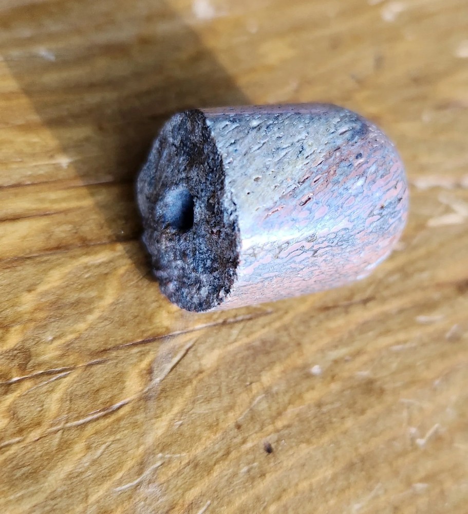 Large live edge dinobone gembone bead