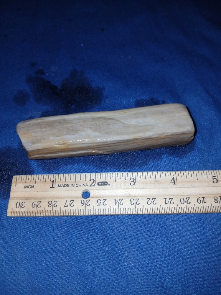 4 oz Texas Petrified Wood
