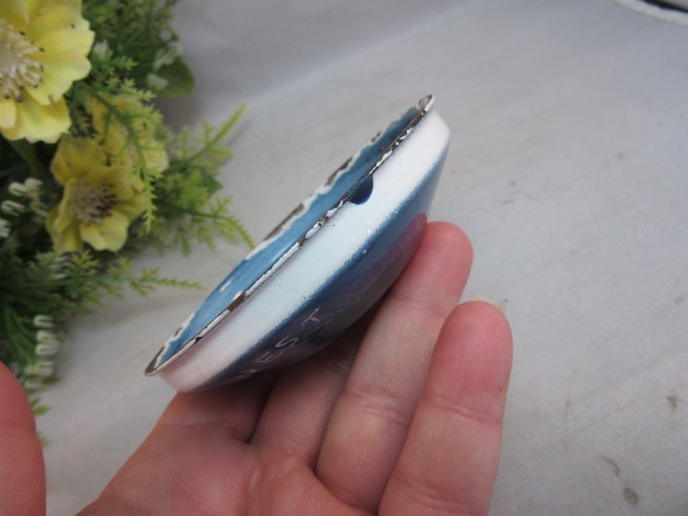 Mid Century enameled dish with fish. Signed WEST