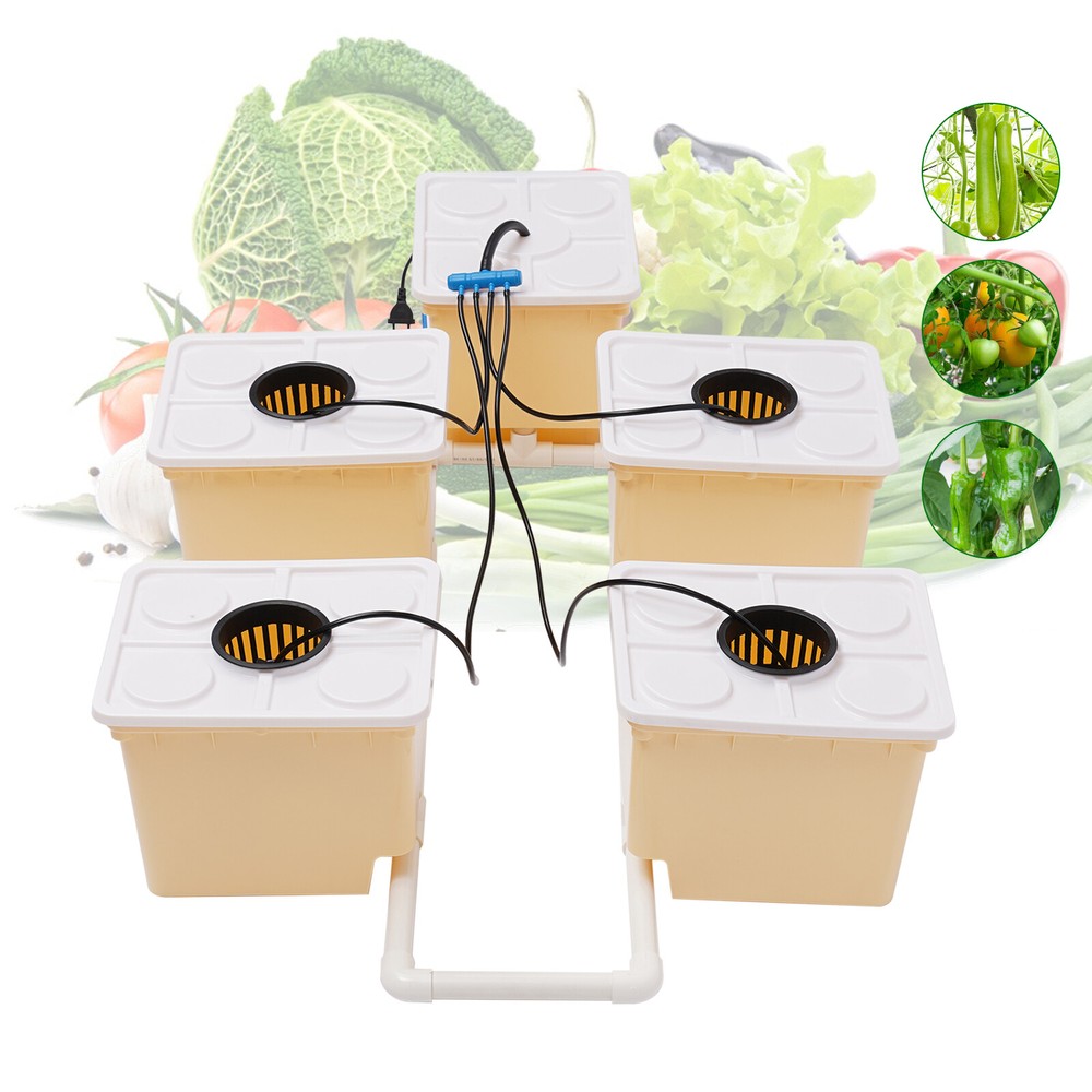 Hydroponics Deep Water Culture DWC Hydroponic System buckets Drip Growing System