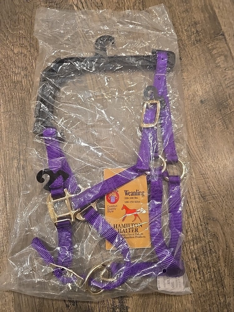 Hamilton Foal Halter