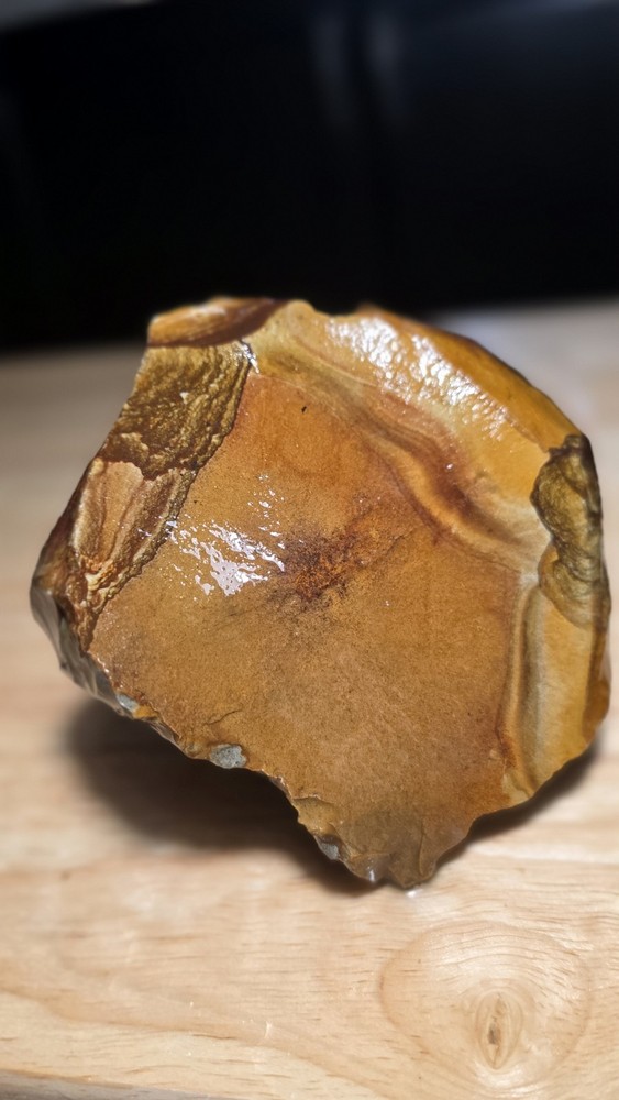 Owyhee Picture Jasper