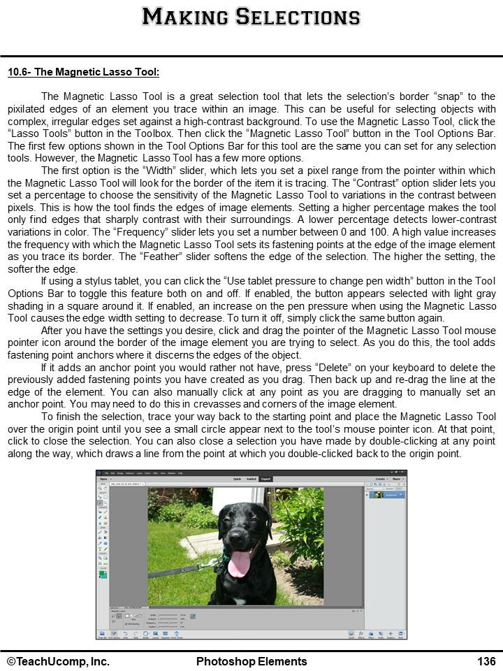 New PHOTOSHOP ELEMENTS 2021 DELUXE Training Tutorial & Quick Reference Guide