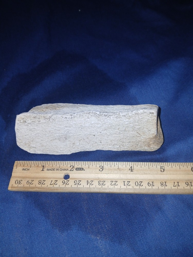 9 oz Texas Petrified Wood