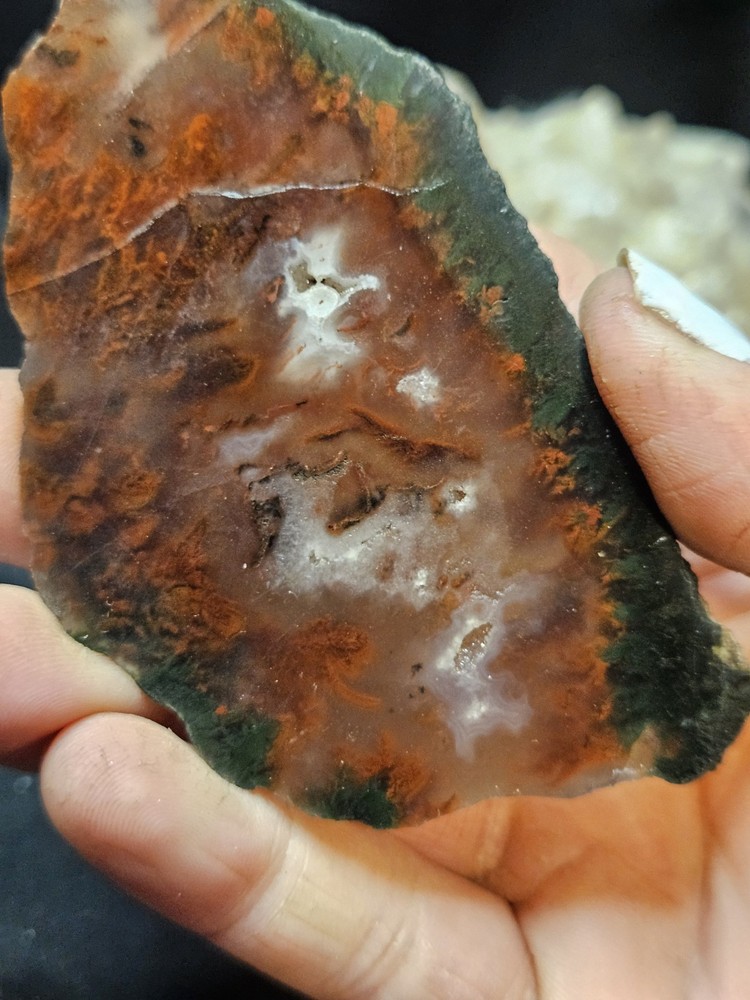 Plume Agate Multicolored Slab Specimen (1.76oz)