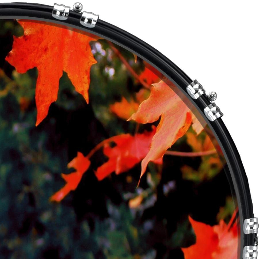 20" Custom Bass Kick Drum Front Head Graphical Graphic Maple River